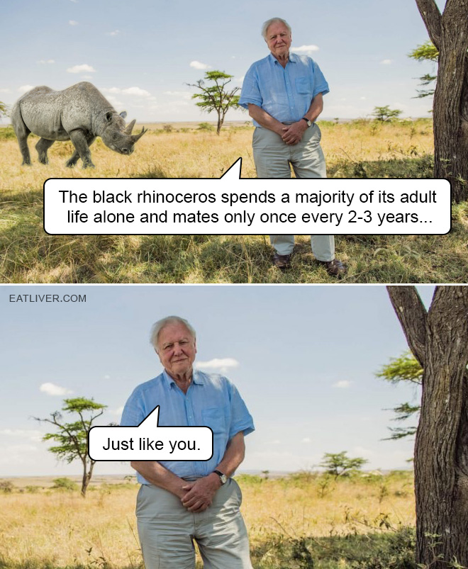 Black Rhino: David Attenborough Is Right, As Always