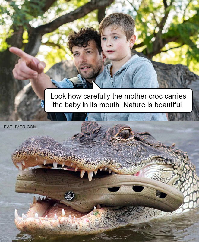 Look how carefully the mother croc carries the baby in its mouth. Nature is beautiful.