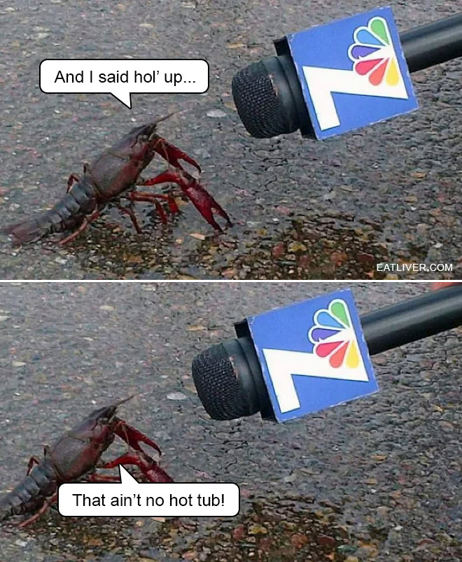 Lobster Meme: Smart Crustacean Cheats Death