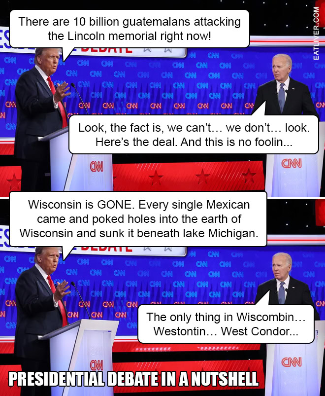 The Presidential Debate In a Nutshell