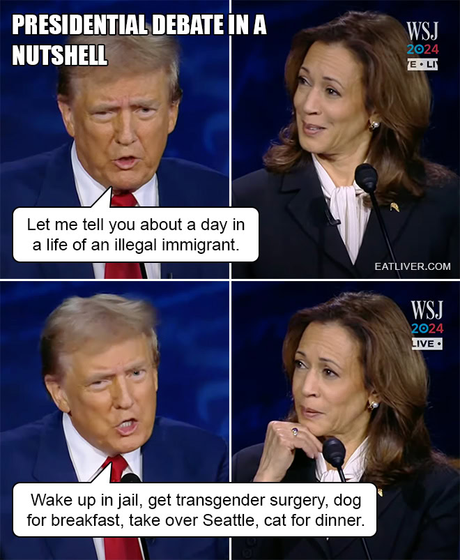 Donald Trump vs. Kamala Harris Debate In a Nutshell