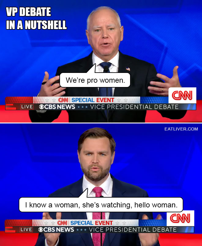 2024 Vice Presidential Debate In a Nutshell