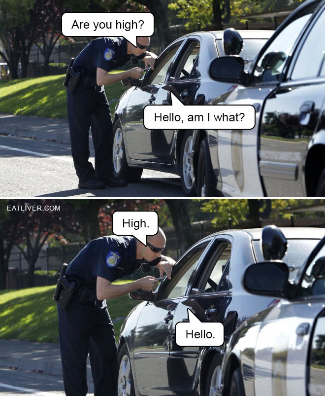 Police Meme: Are You High?