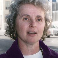 Japanese Company Unveils Human Washing Machine